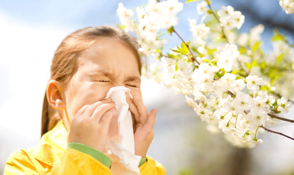 Surviving spring allergies