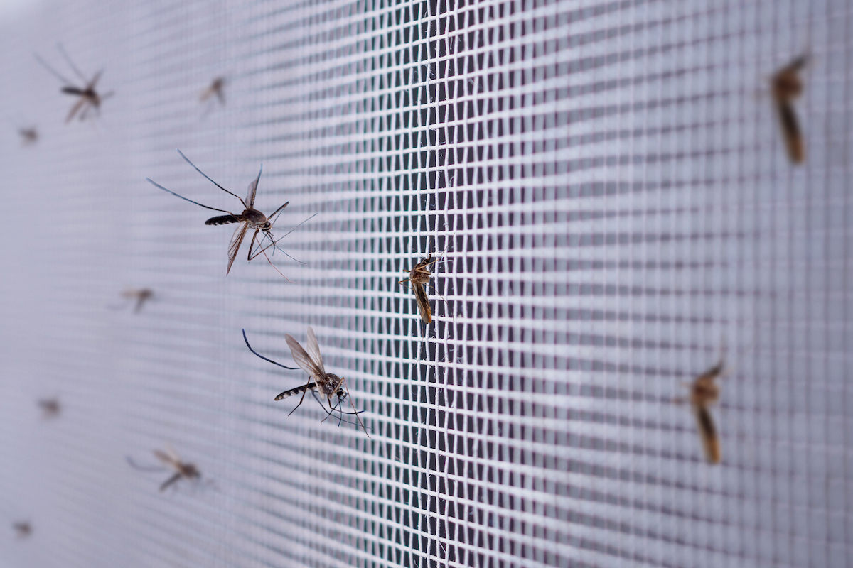 how to stop bugs from coming through window air conditioner